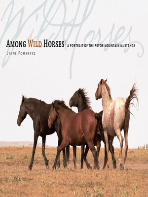 cover image of Among Wild Horses